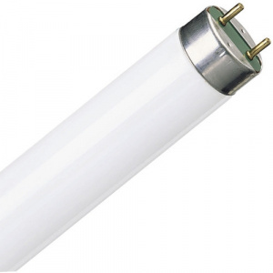 Лампа 36W/765 G13 OSRAM